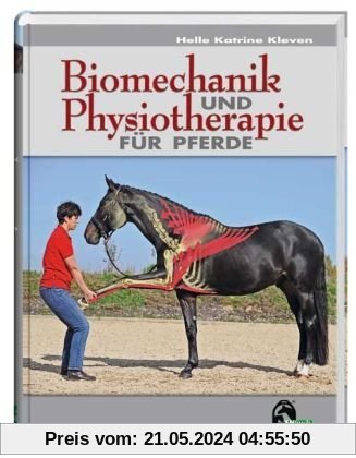 Biomechanik und Physiotherapie für Pferde